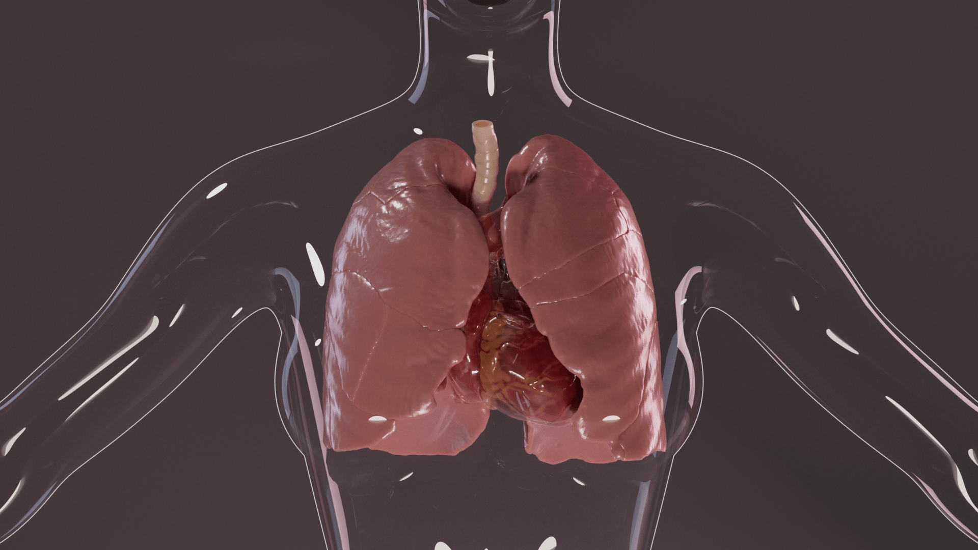 Lung Resection Patient Education